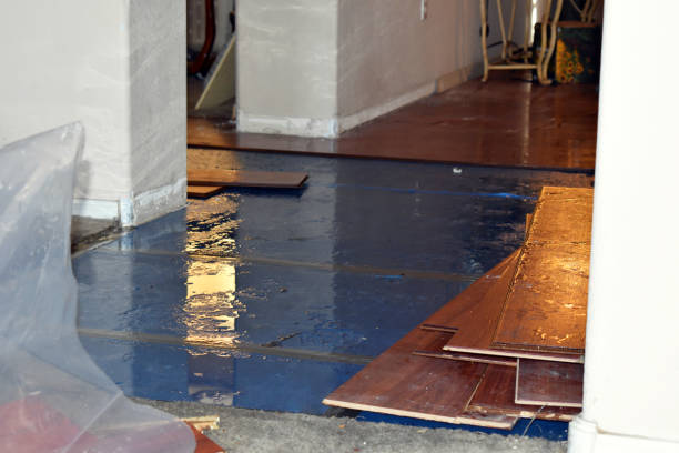 Professional Burst Pipe Cleanup technician working in Ashland, NH